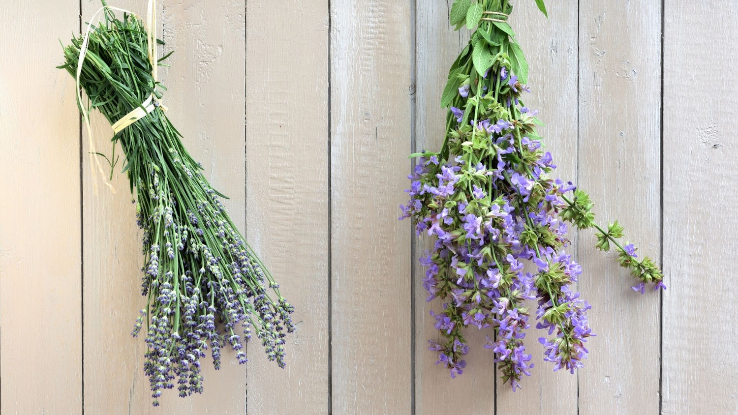 White Sage and Lavender Collection