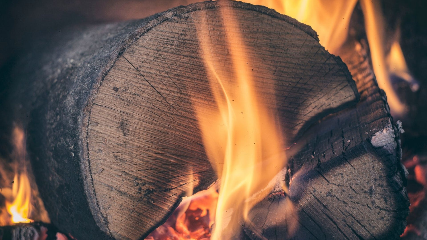 Woodsmoke and Leather Collection