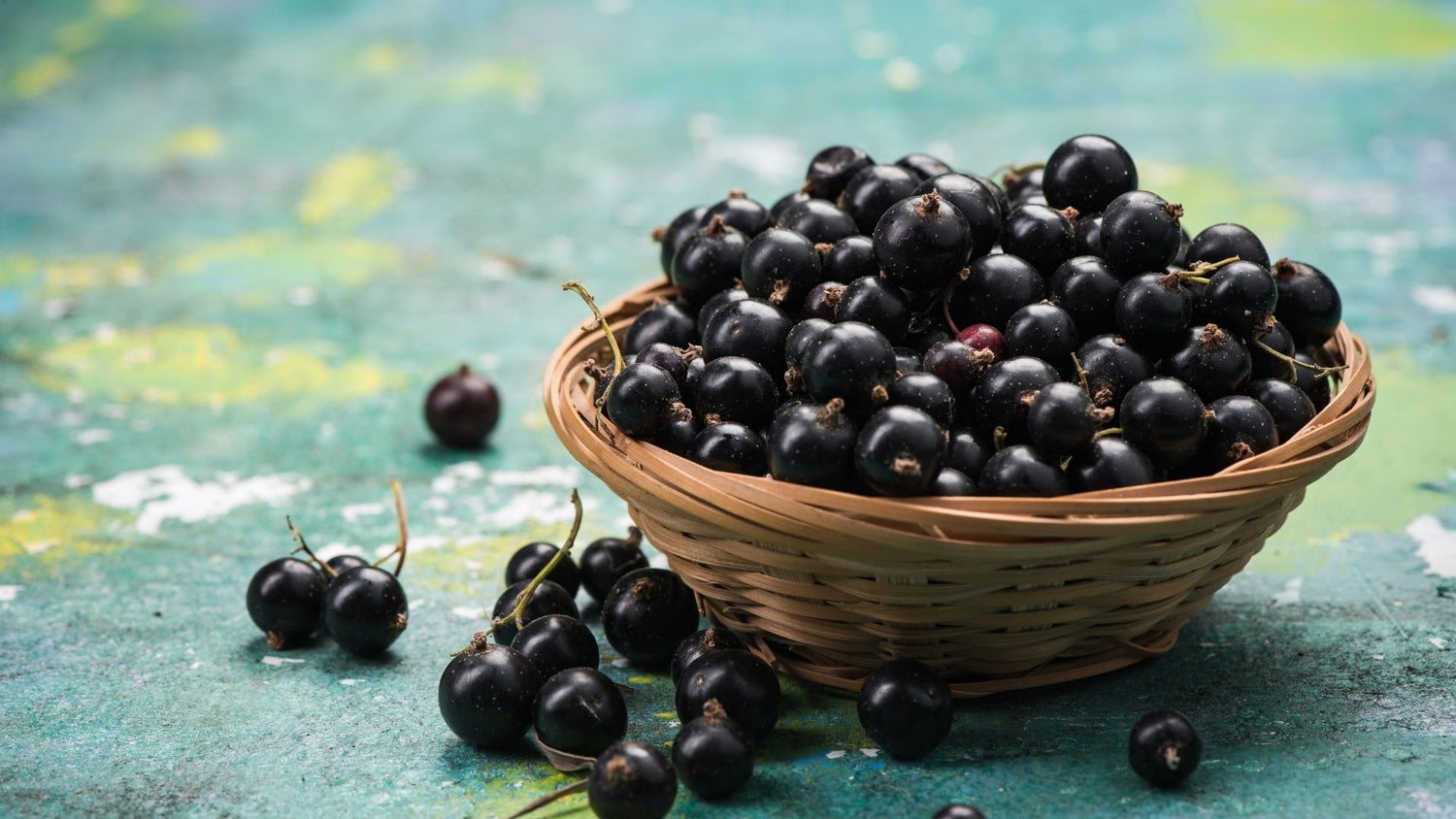 Blackcurrant and Agarwood Collection